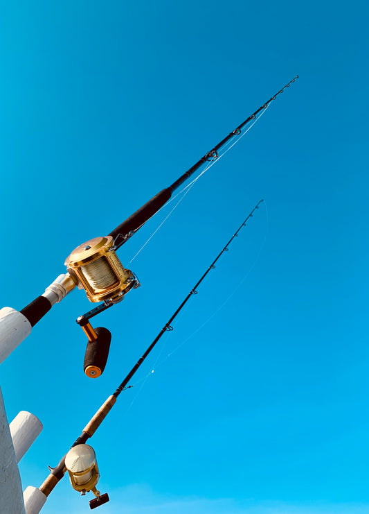 Saltwater Rod